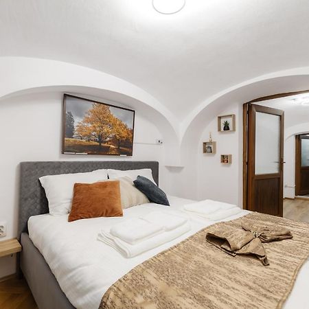 Downtown Cio Apartment Sibiu Eksteriør bilde