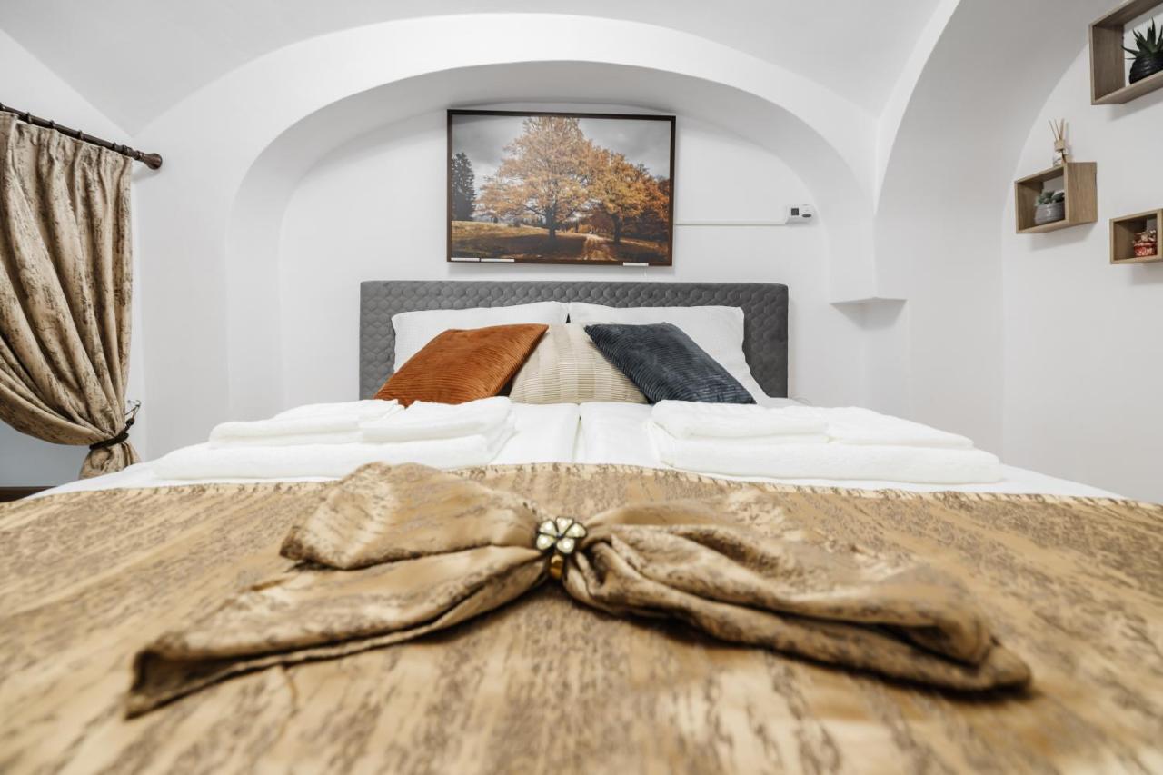 Downtown Cio Apartment Sibiu Eksteriør bilde
