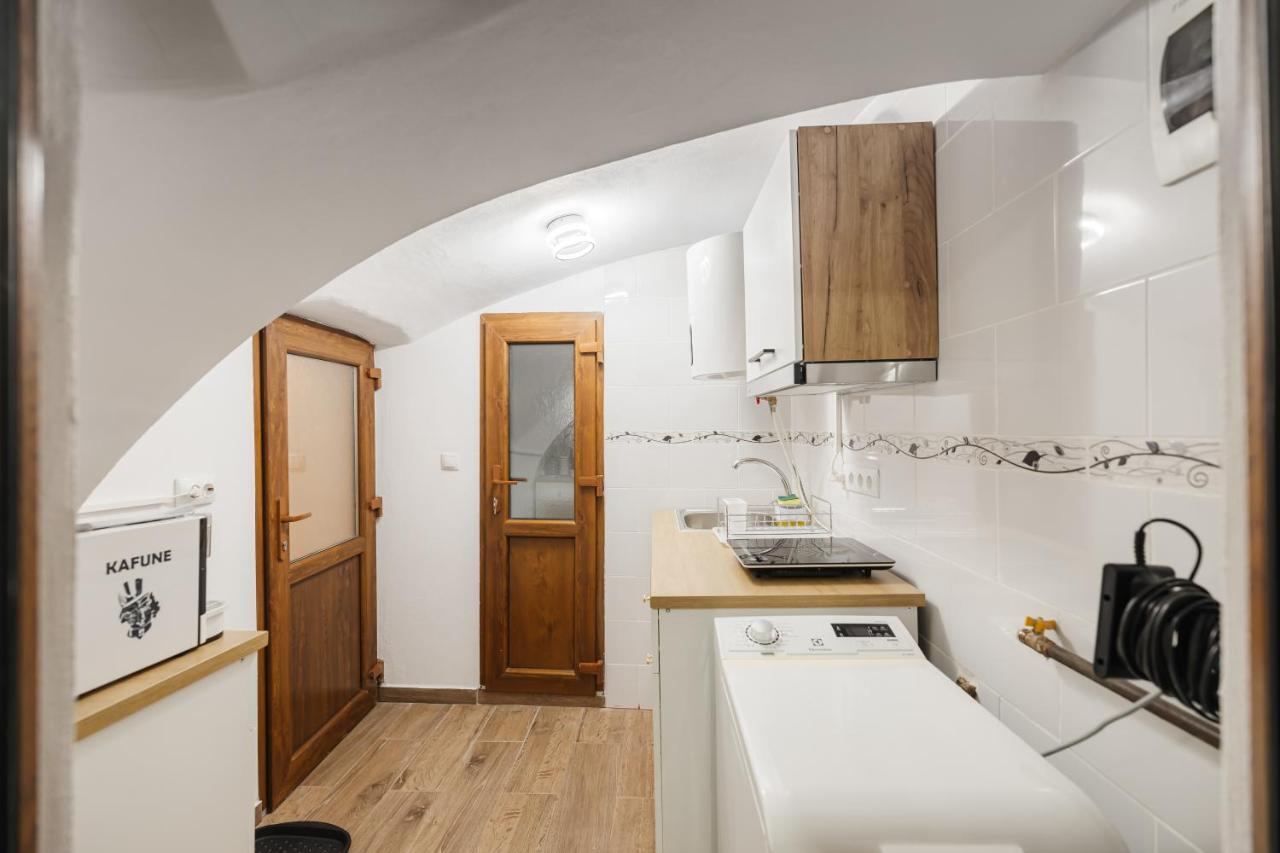 Downtown Cio Apartment Sibiu Eksteriør bilde
